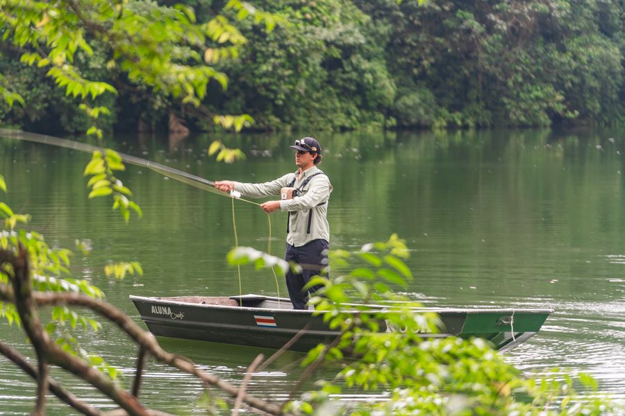 Pescador con mosca lanzando cerca de la orilla del bosque